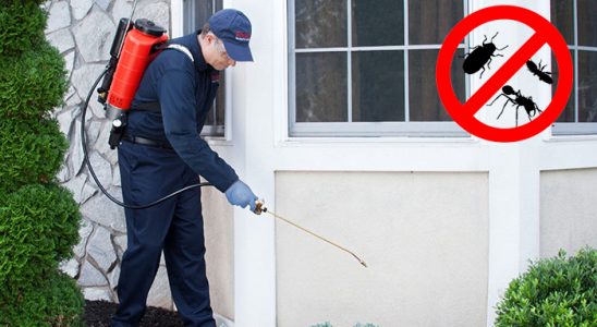 Kumru Bit İlaçlama böcek ilaçlama ve haşere kontrolü — ilaclama-tr.com